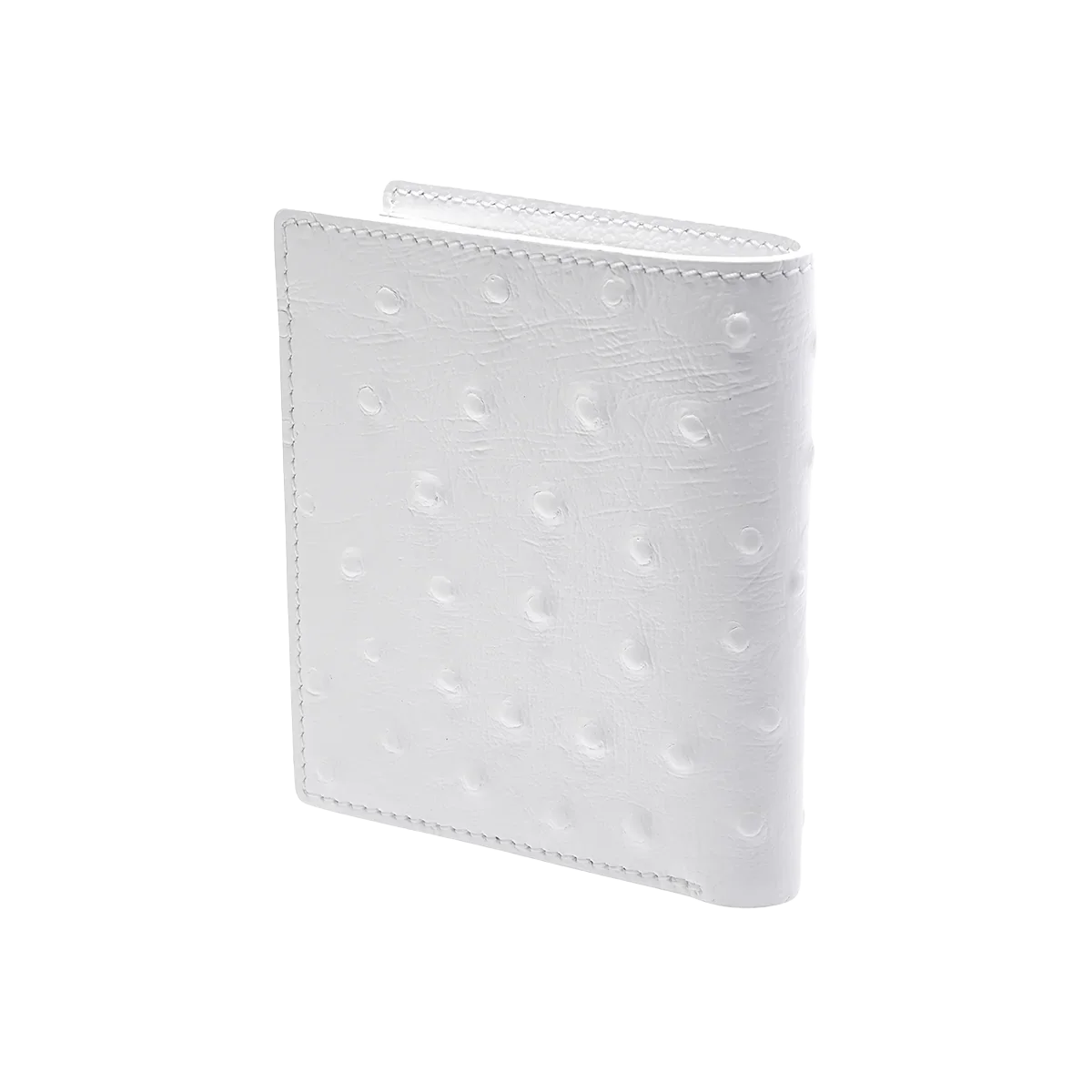 Camel Leather / Ostrich Print