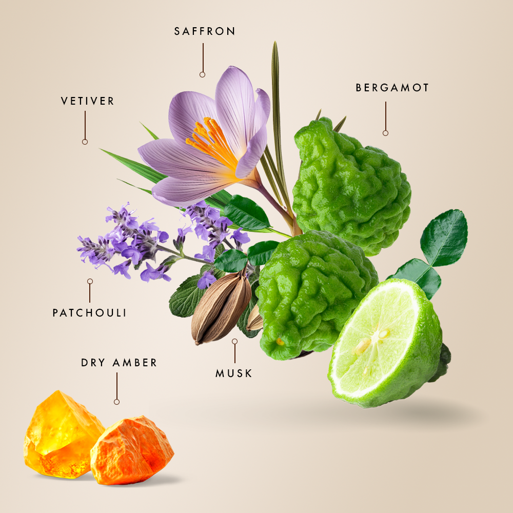 Saffron Musk - Parfum