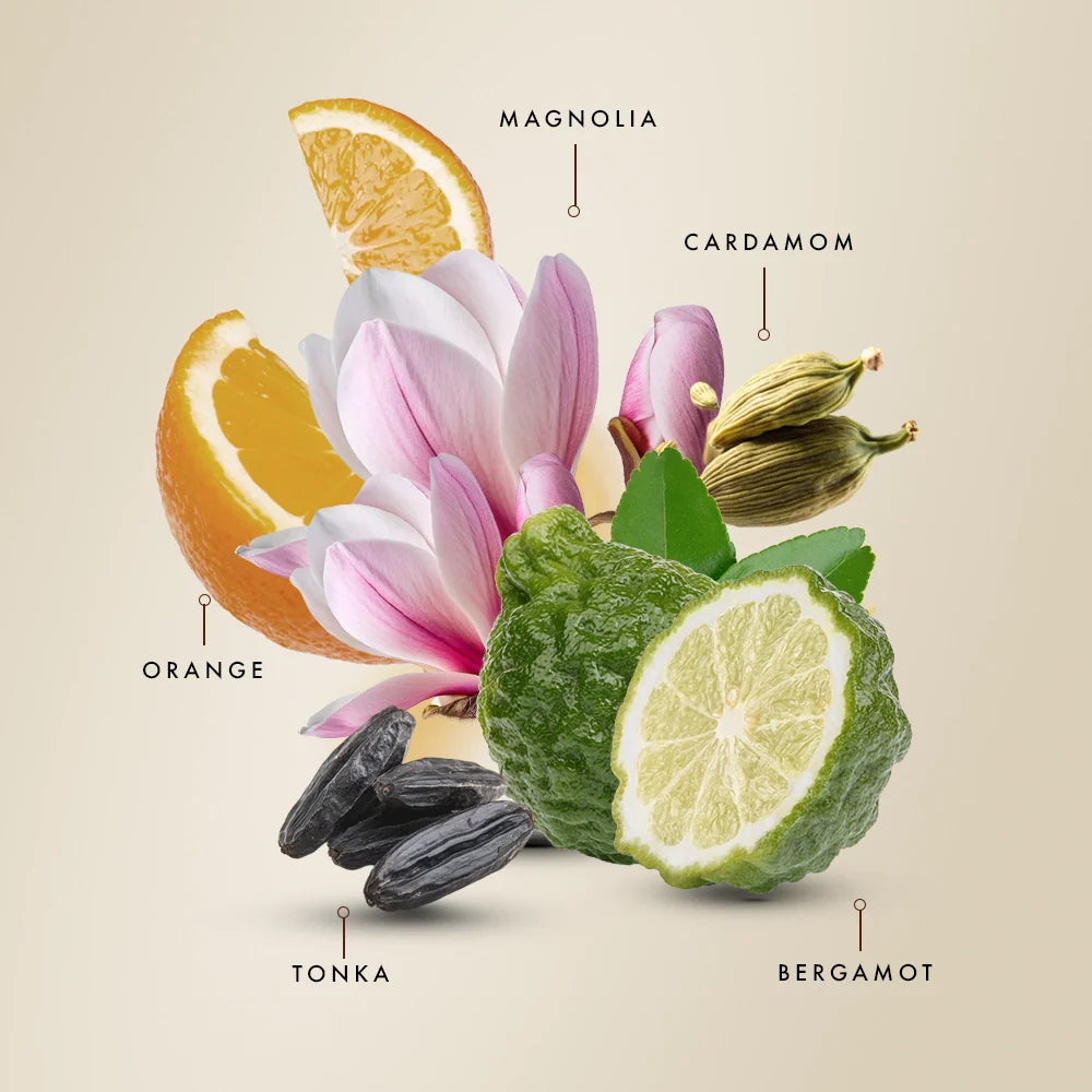 Santal Spice - Parfum